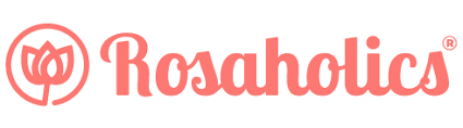 Store Brand Image