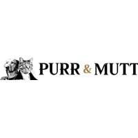 Store Brand Image